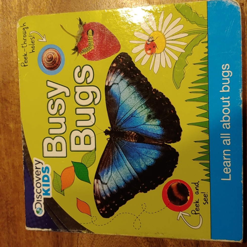 Discovery Kids Busy Bugs